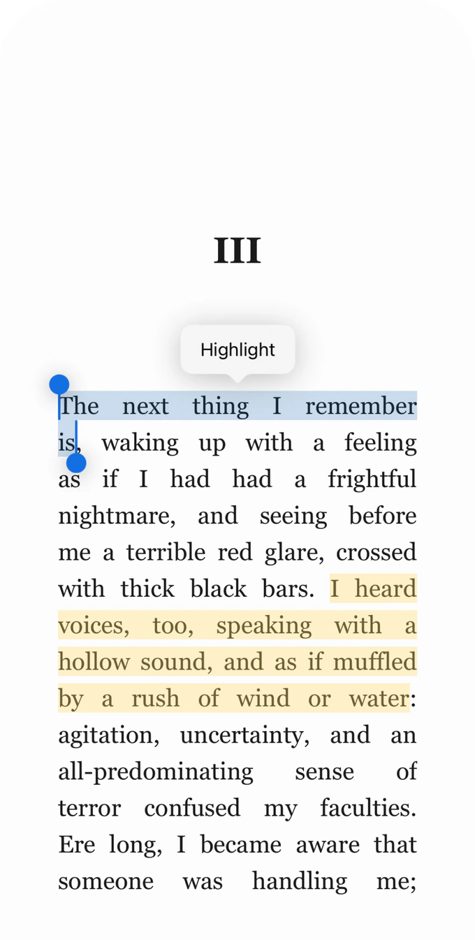 LitaBook reader with a highlighted passage